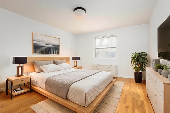 Photo - Flower Gardens