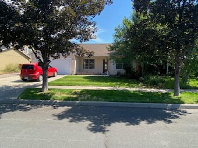 NW Redmond on a Humongous! LOT - NW Redmond on a Humongous! LOT House