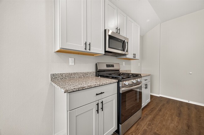 25431 Blue Mistflower Dr