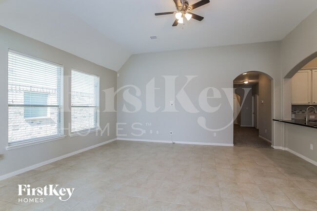 Photo - 331 American Black Bear