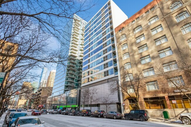 Building Photo - 1345 S Wabash Ave Unit 509 Rental