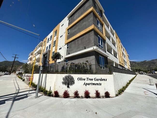 Olive Tree Gardens - Olive Tree Gardens Apartments