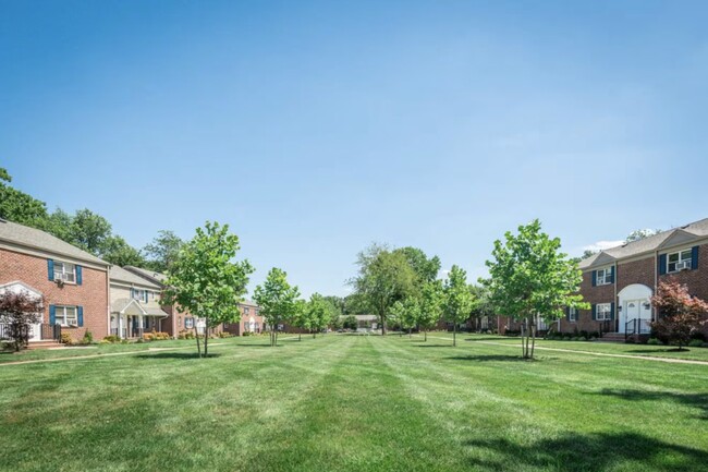 Livingston Terrace - Livingston Terrace Apartments