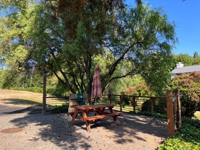 Pik Nik area - 1224 6th Ave S Unit C-203