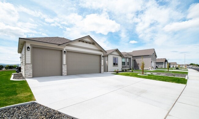 Photo - Beautiful Rambler