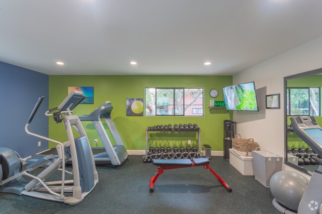 Gimnasio