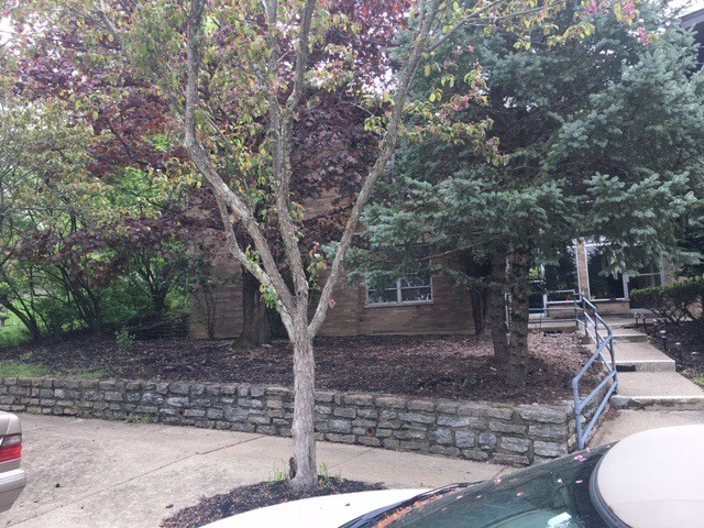 Picturesque Front of Building