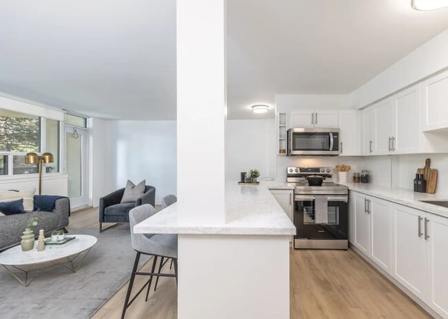 Photo - The Renaissance