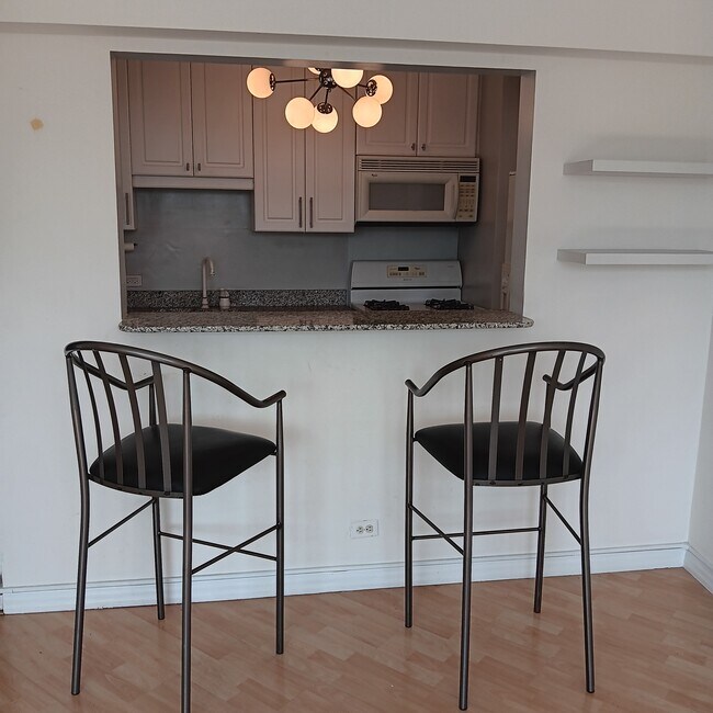 Photo - 1150 N Lake Shore Dr Condo Unit 17K