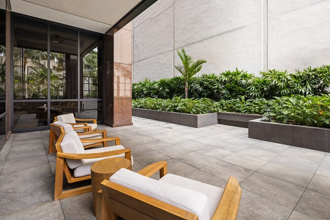 Peaceful garden