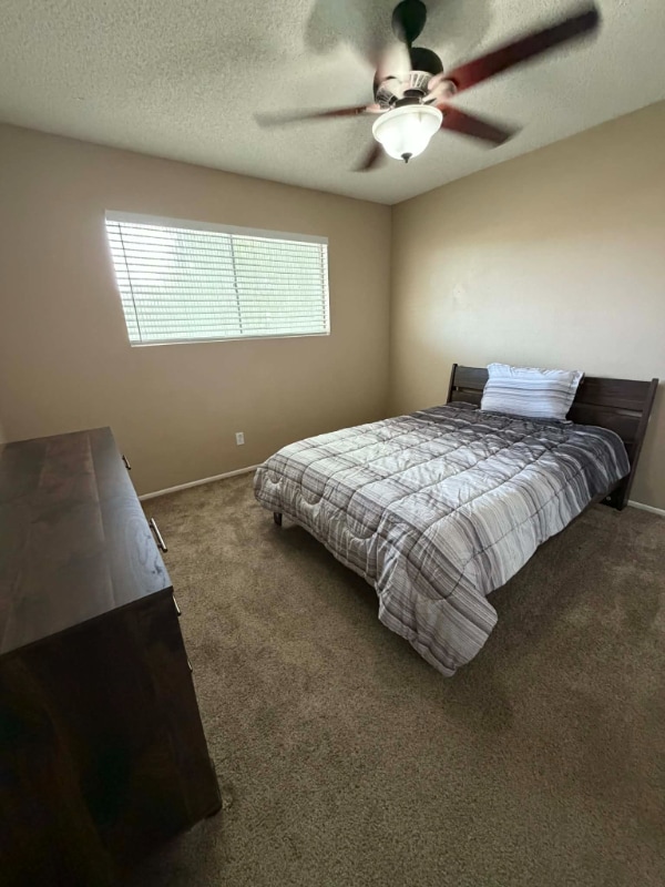 Photo - 14209 N 45th Ave