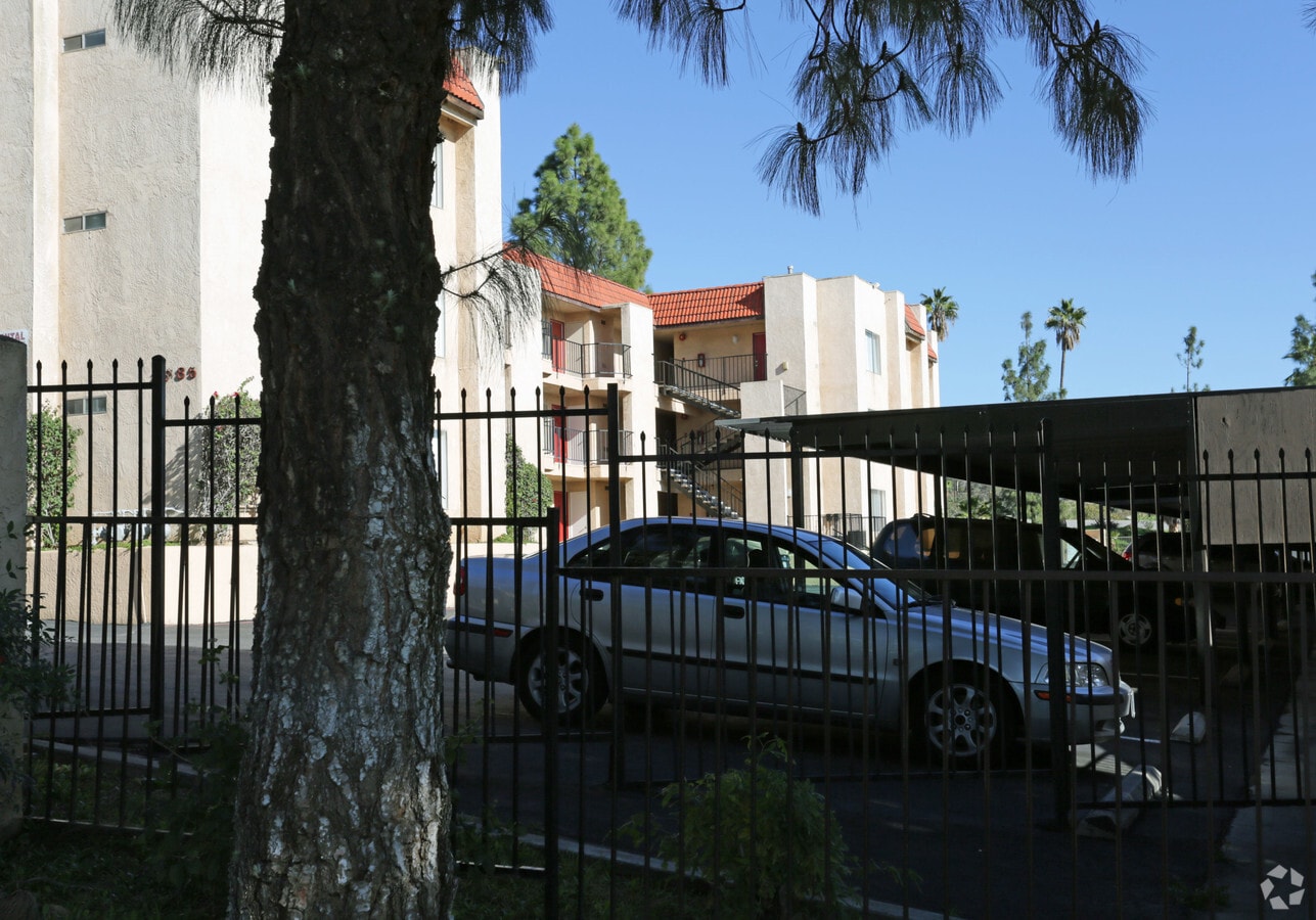 Palm Circle Apartments - Palm Circle Apartments