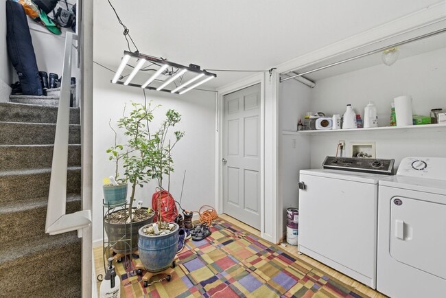 Photo - Cozy 1-Bed 1-Bath Basement Apartment blocks from CSU!