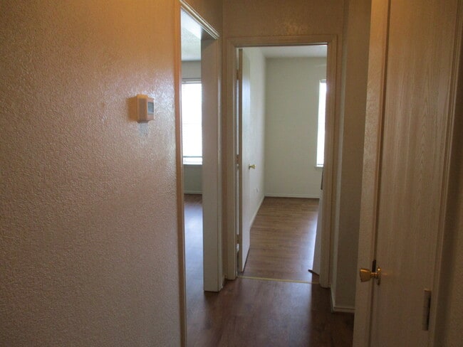 Photo - 163 Armadillo Ln