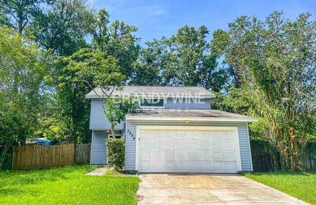 1 MONTH FREE RENT - 1 MONTH FREE RENT House