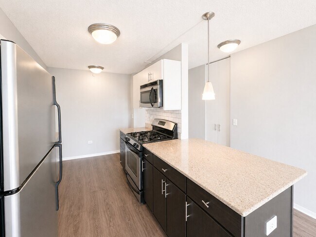 Photo - 605 W Lake St Unit 1311