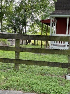 Photo - 6939 Del Bello Rd (Manvel, TX)