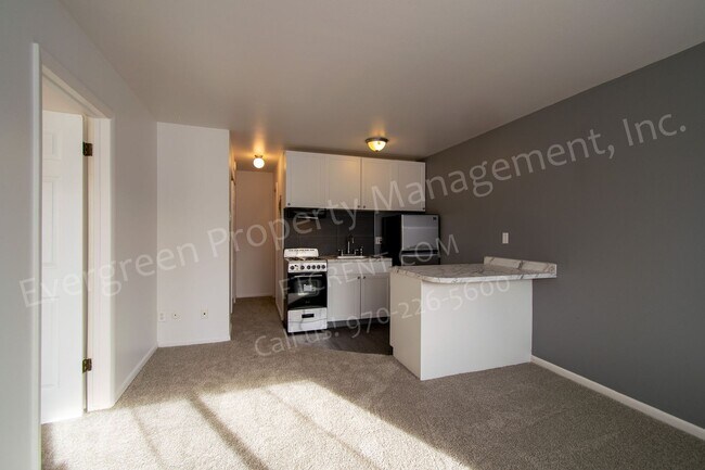 Photo - 500 Laporte Ave Unit 303