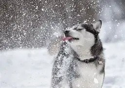 Photo - Northlake Lofts