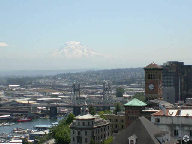 Mt. Rainier View
