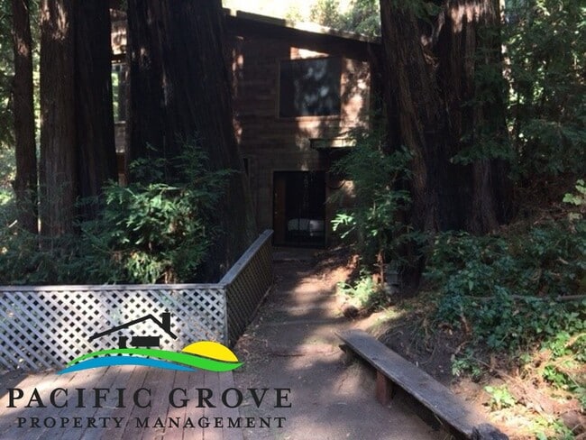 Photo - Cabin on Palo Colorado