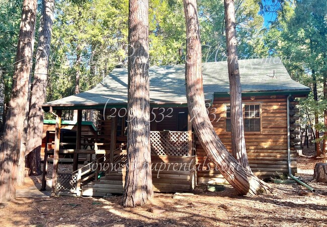 Building Photo - Rustic Retreat: Charming 1-Bedroom Log Cab... Rental