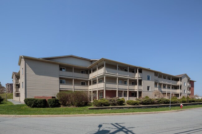 Photo - 10 Joseph Young St