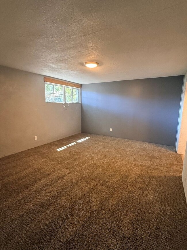 Building Photo - HALF OFF FIRST MONTH! Bright & Spacious 2-Bed Basement Gem