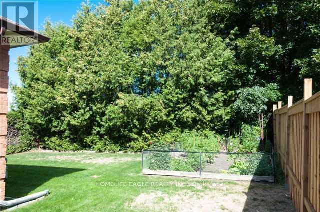 Photo - 19 Schomberg Rd