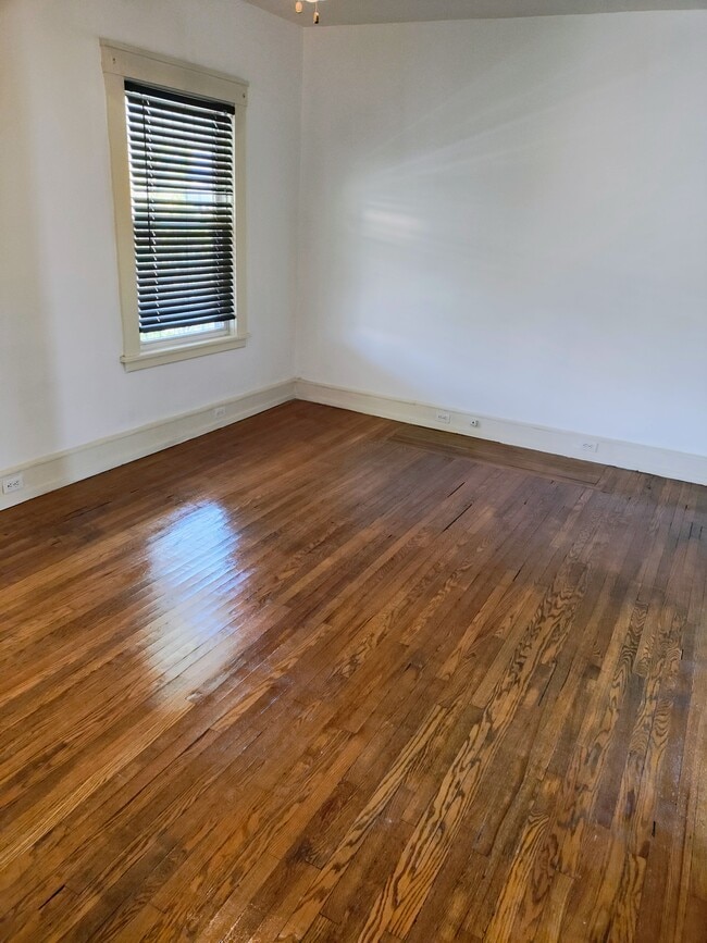 Living Room - 764 Amherst St Unit amherst street