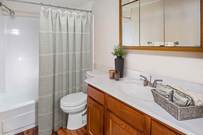 Photo - North Forest