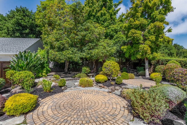 Back garden - 940 Sequoia Ave