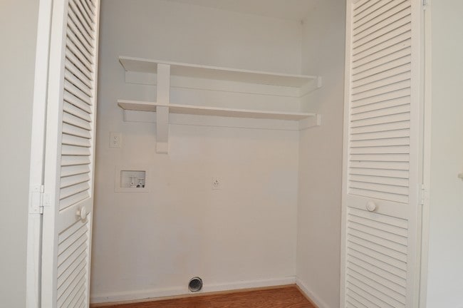 Photo - Churchland Forest