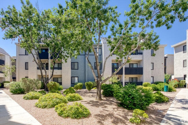 Community - 4200 Paradise