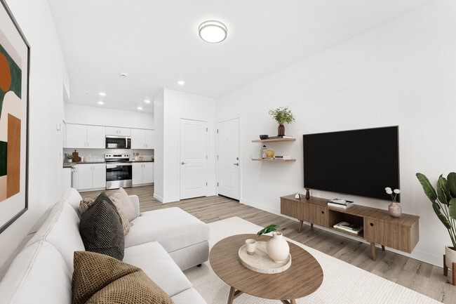 Photo - Spring Meadow