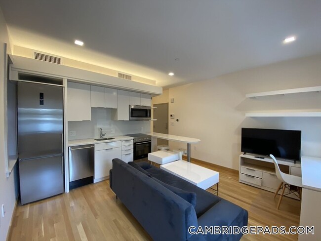 Photo - 115 Mt Auburn St Apartment Unit 43