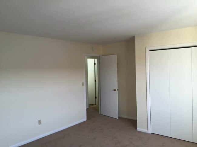 Photo - 2 Cedarwood