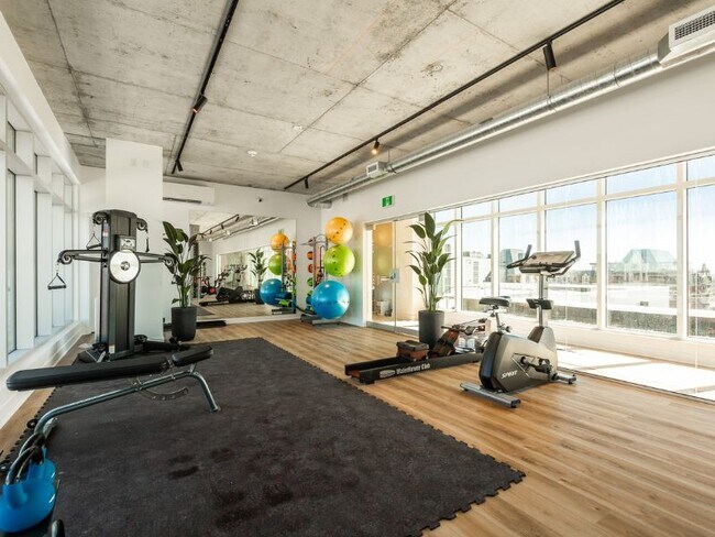 Photo - Mostra Maisonneuve