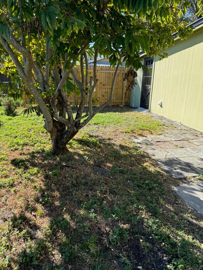 backyard - 2221 Corrine St