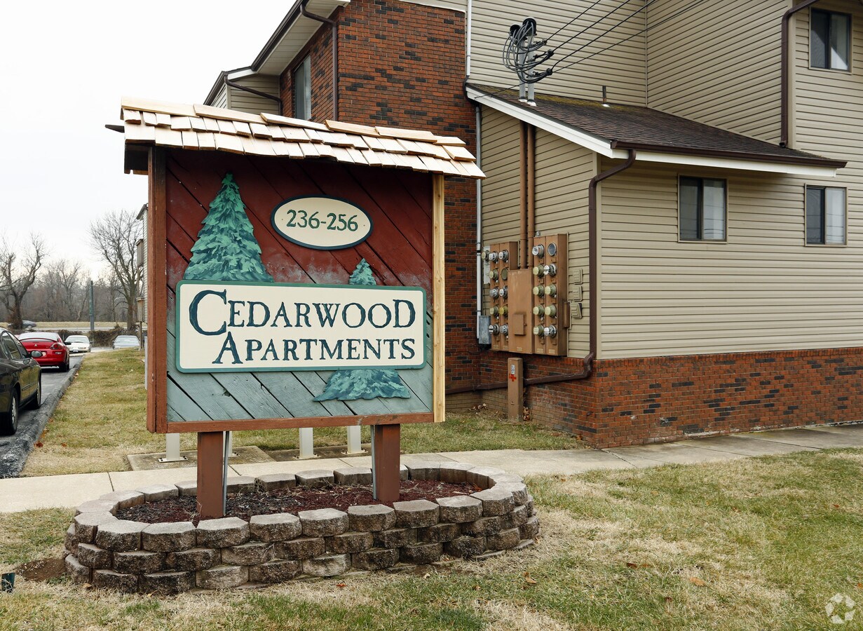 Cedarwood - Cedarwood