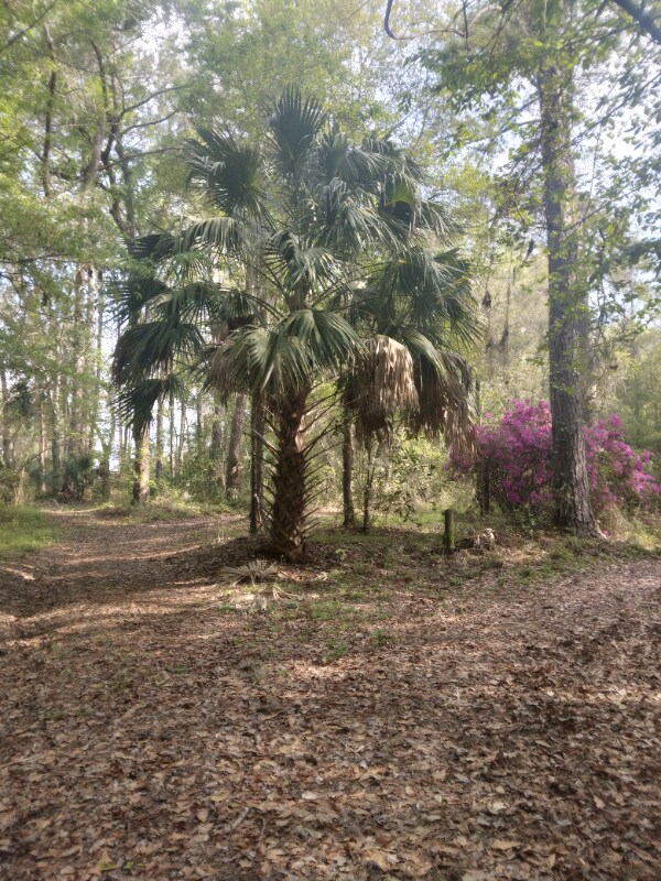 Photo - 8035 NW 120th St Unit Rose cottage