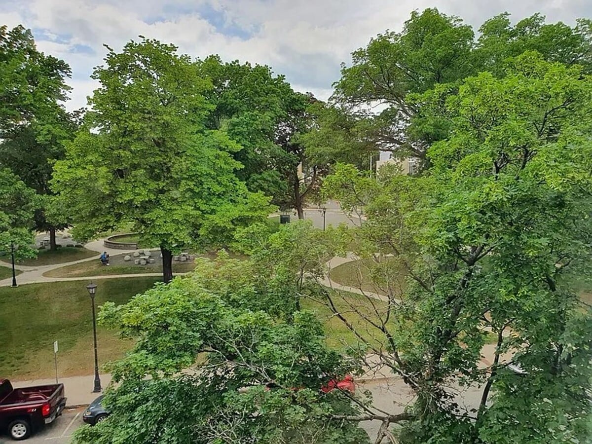 Photo - 32 - 364-368 Maple Street Unidad 32301 - 368 Maple Street, Apt. 3 (3rd Floor)