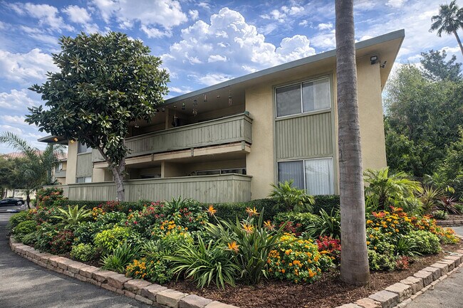 Palm Vista