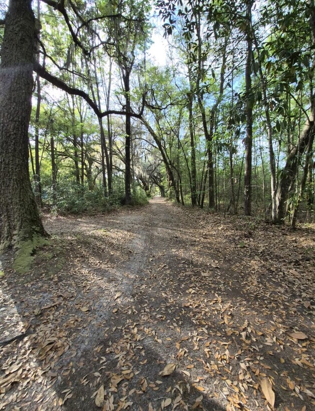 Photo - 187 Mamies Rd