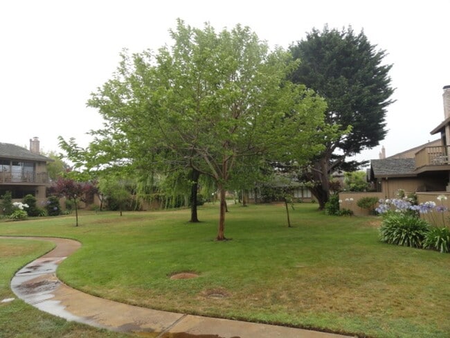 Photo - Rio Road Condo