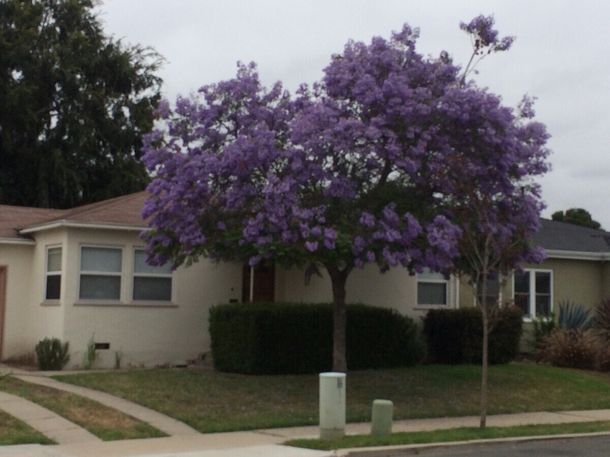 Photo - 4735 Winona Ave