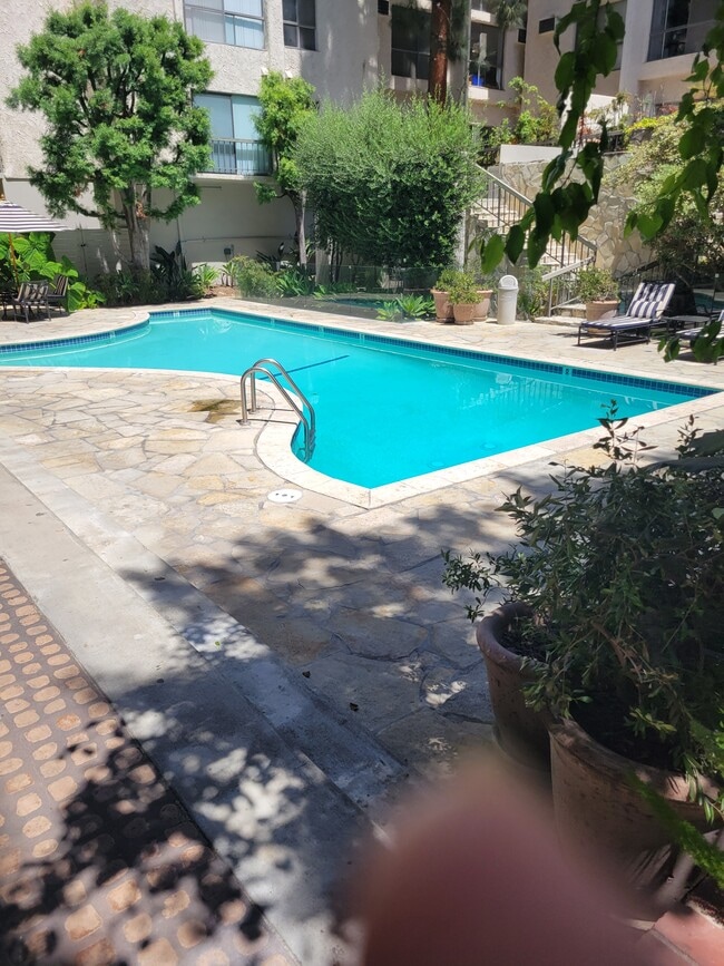 Building Photo - 1440 Veteran Ave Unit 1440 Veteran 237 Rental