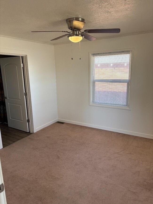 Building Photo - 411 Opal St Rental