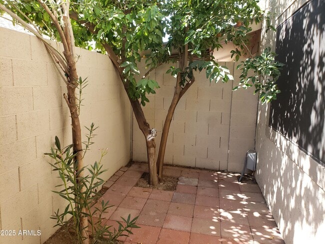 Building Photo - 1115 N 84th Pl Rental