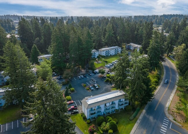 Steilacoom Woods